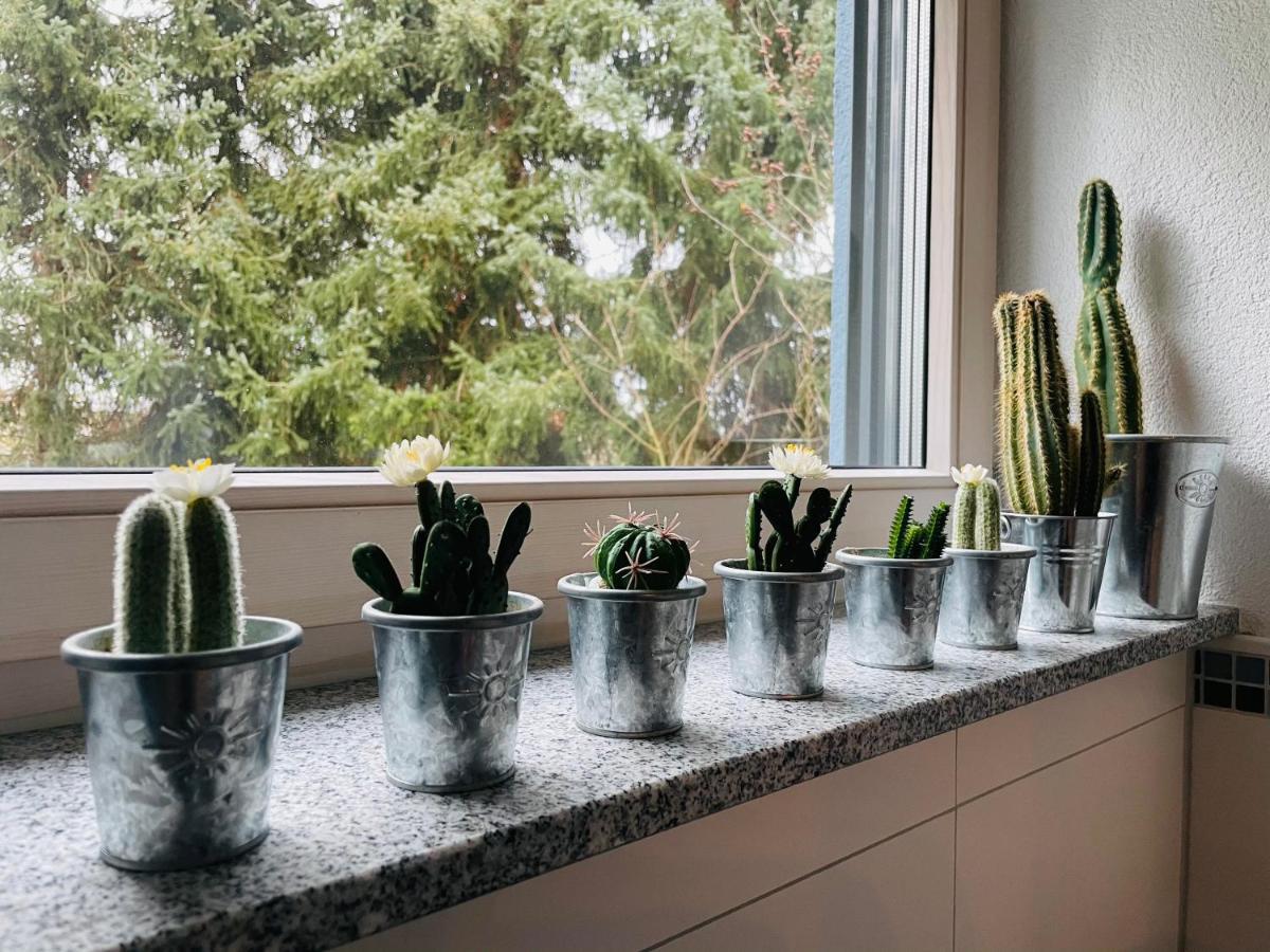Rainau Limes Apartment -Uebernachten Am Limes- מראה חיצוני תמונה