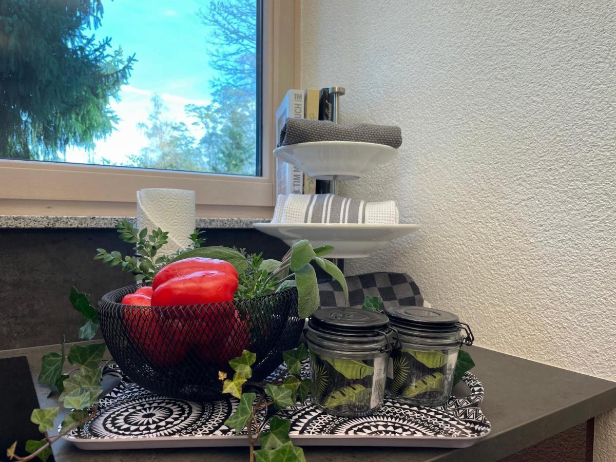 Rainau Limes Apartment -Uebernachten Am Limes- מראה חיצוני תמונה
